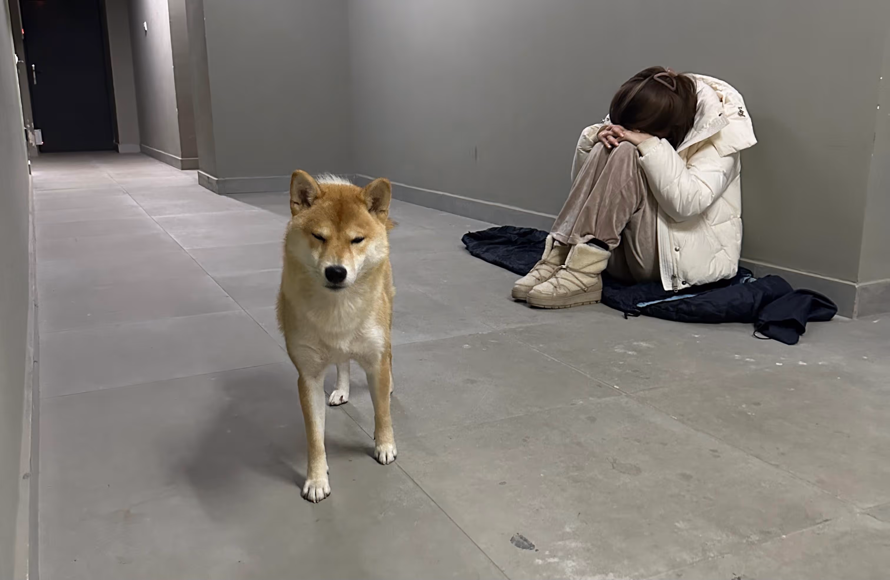 A dog stands beside a person seated on the floor in a corridor.